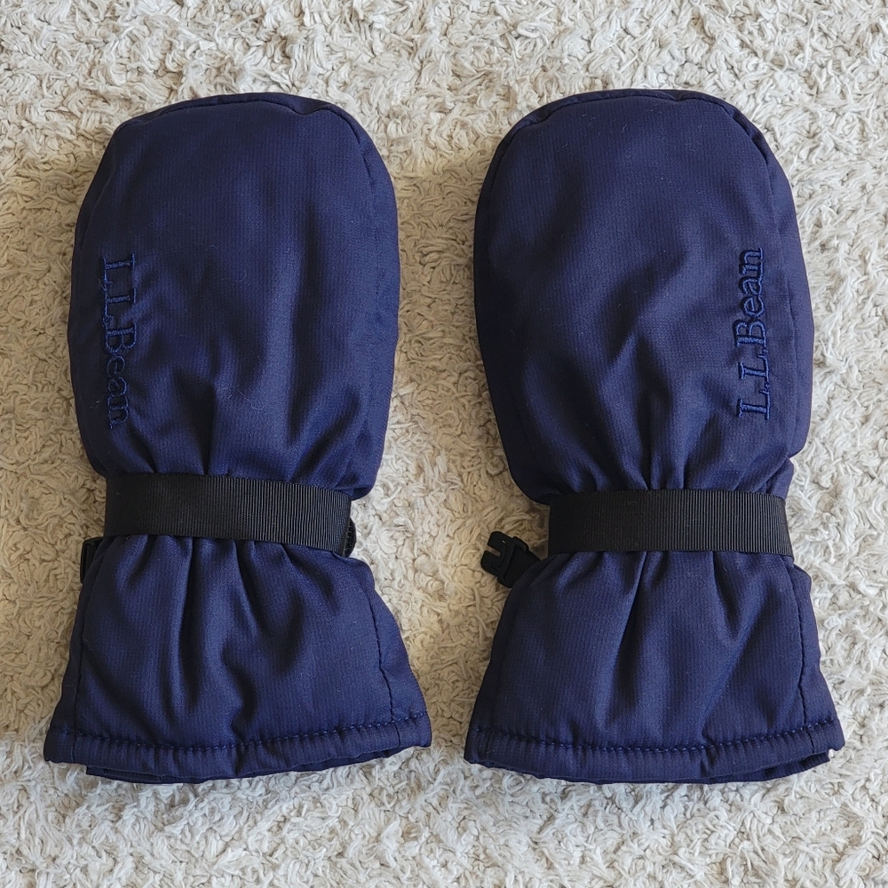 L.L.Bean Infants' and Toddlers' Cold Buster Waterproof Mittens, Blue, 2T-4T